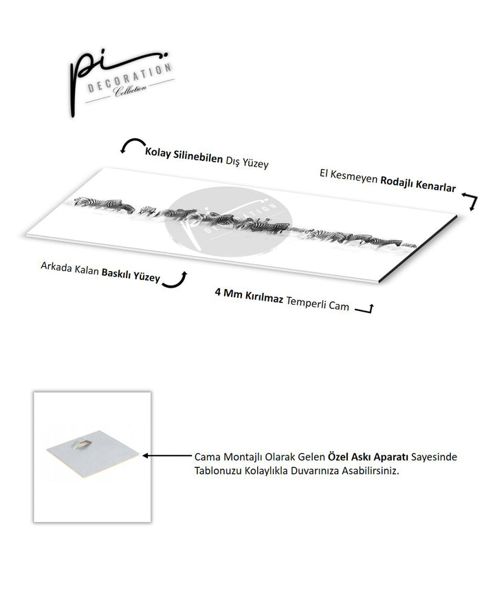 Zebra Sürüsü Panoramik Cam Tablo