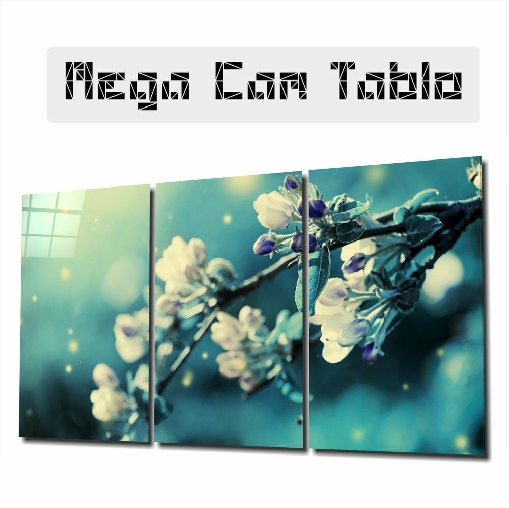 Tomurcuk Mega Cam Tablo